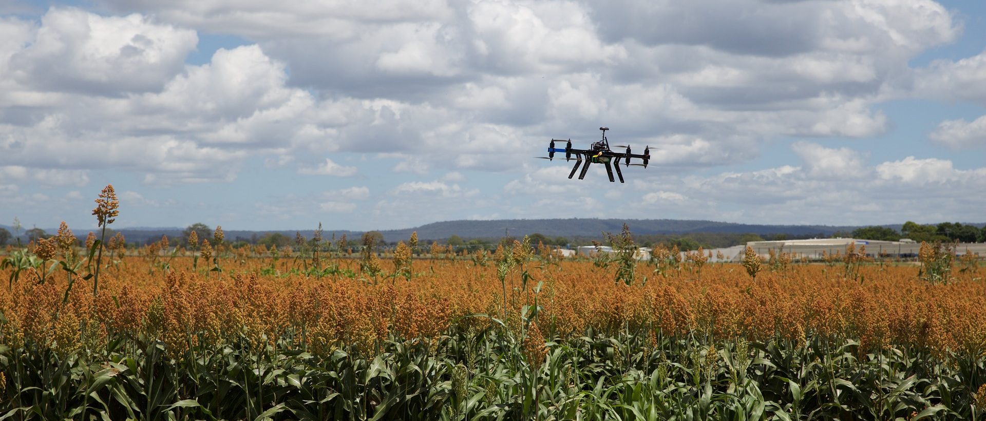 Webinaire: les défis des données dans le bioalimentaire