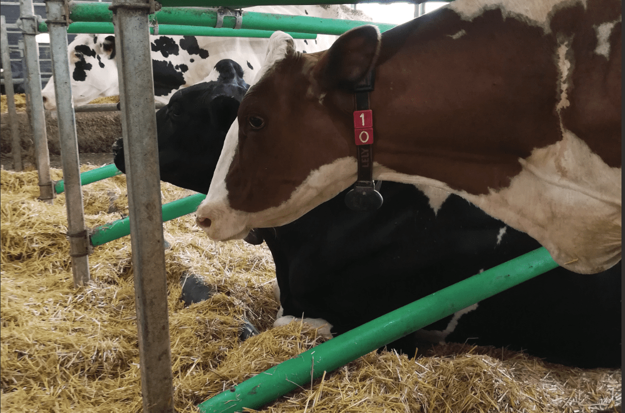 La nouvelle réalité des fermes 4.0 au Québec