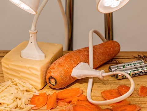 Le futur de l&rsquo;alimentation: où en est le Québec?