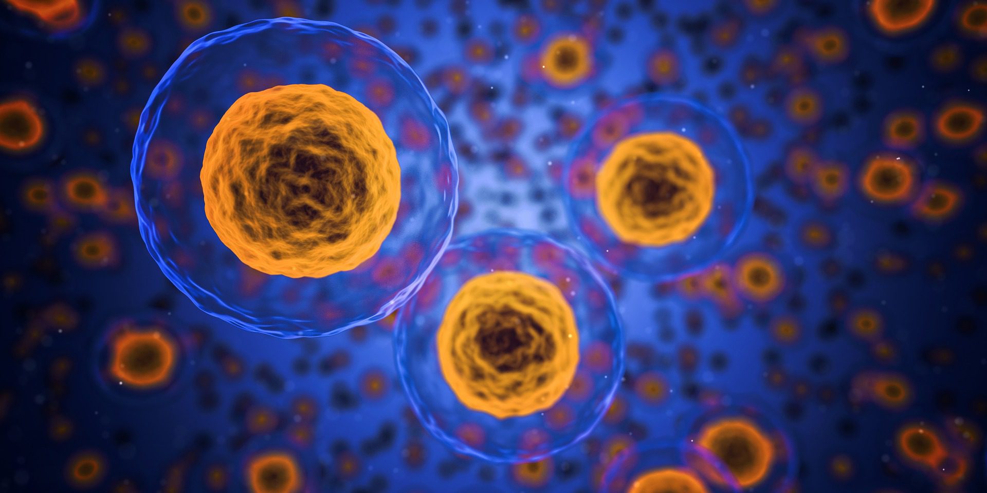 Un nouveau rendez-vous pour innover en sciences de la vie!