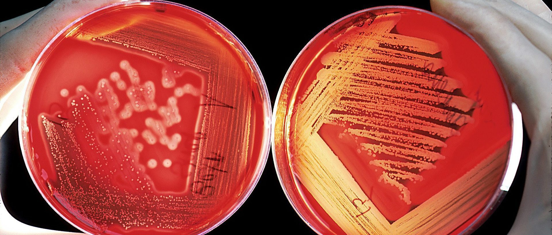 Le big Data au service de la recherche