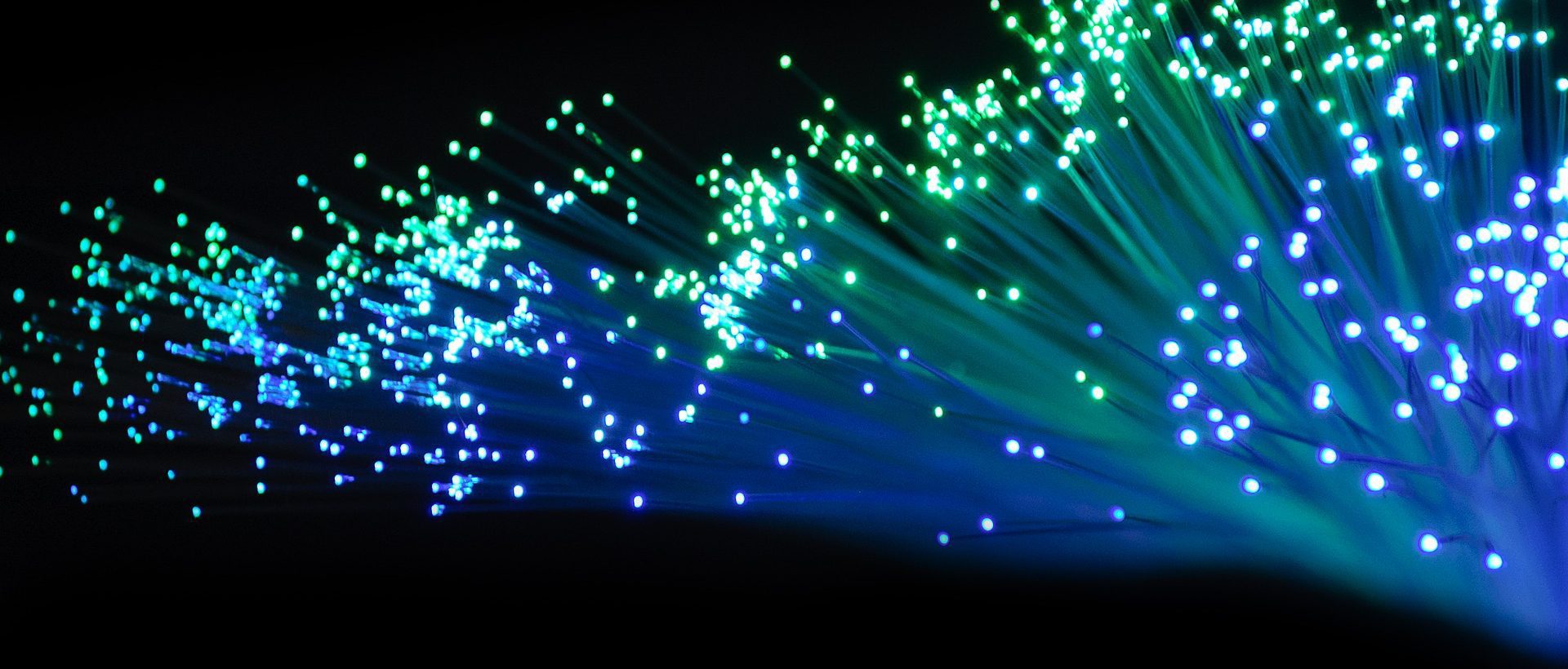 7,9 millions de dollars pour une start-up du Centech