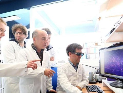 Grandes équipes de chercheurs en hausse, mais pas plus d&rsquo;innovations