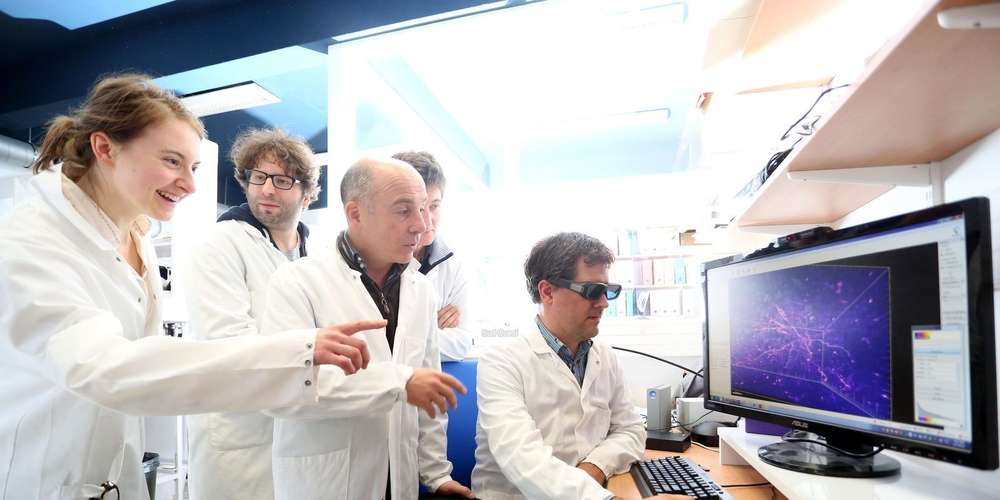 Grandes équipes de chercheurs en hausse, mais pas plus d&rsquo;innovations