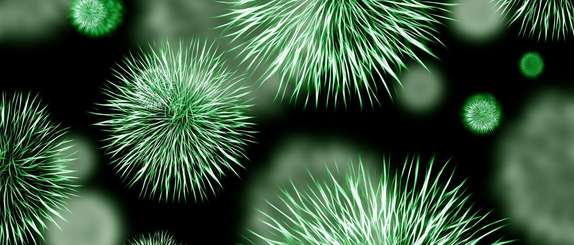 Les Fonds de recherche du Québec dévoilent leur Politique sur le libre accès