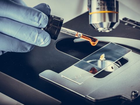 5ème édition du Symposium en génie biologique et biomédical les 13 et 14 mai