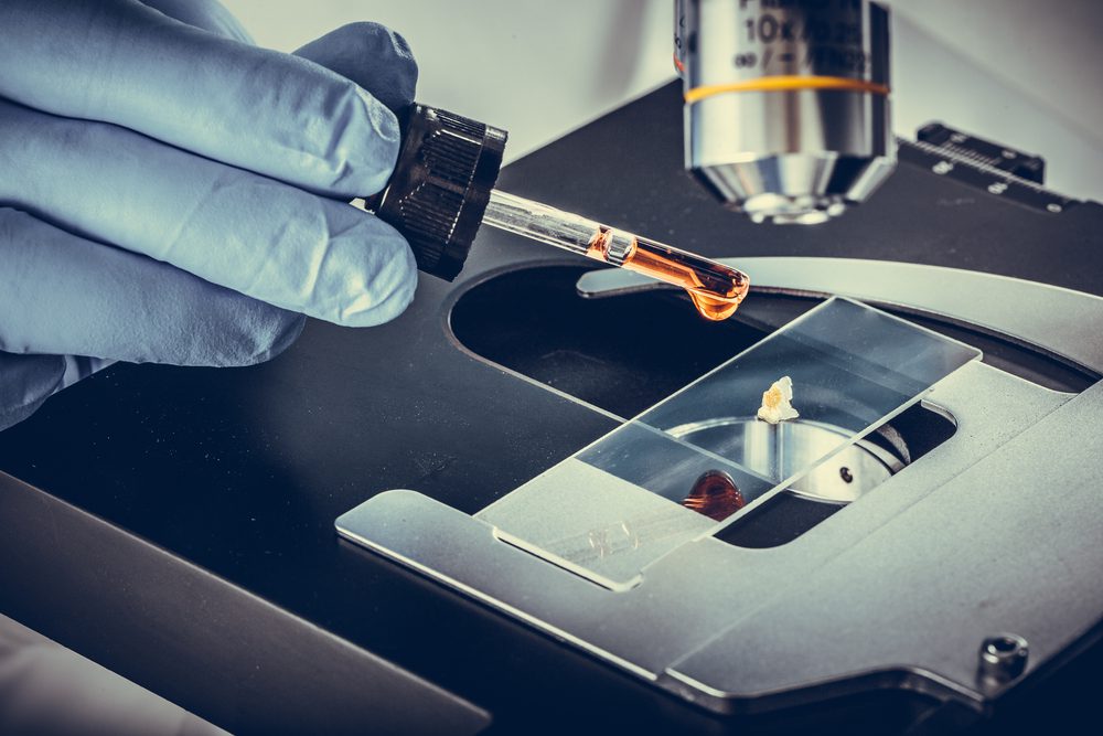 5ème édition du Symposium en génie biologique et biomédical les 13 et 14 mai