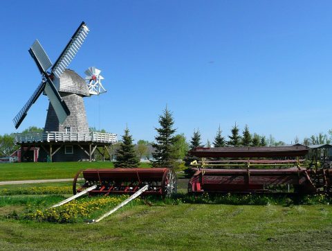 Investissement du fédéral pour la recherche en sciences animales au Québec