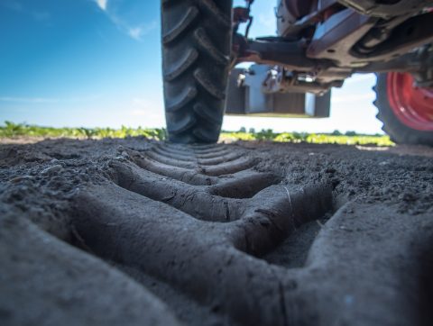 Ouranos dévoile les résultats de deux projets de recherche en agriculture au Québec