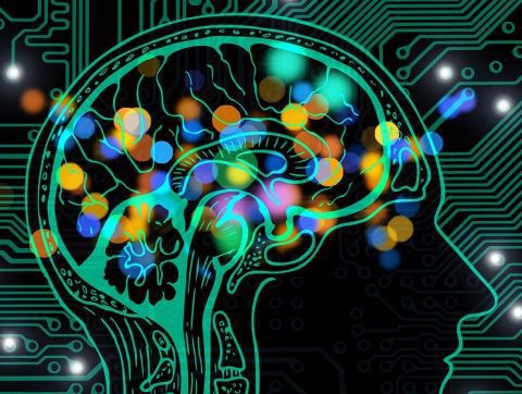 Collisions créatives : le rendez-vous sciences de la vie et IA Life