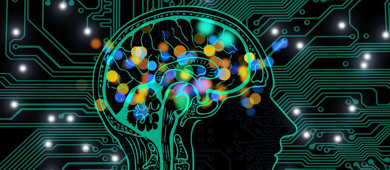 Collisions créatives : le rendez-vous sciences de la vie et IA Life