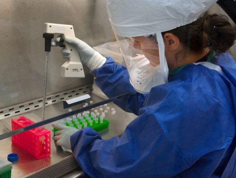 Ouverture de l&rsquo;appel à candidatures des Prix du Québec scientifiques 2020