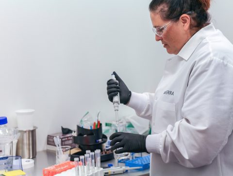 La place des femmes en science et en génie