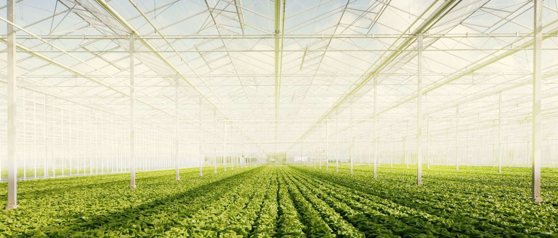 AGRICULTURE : QUÉBEC INVESTIT 6M$ POUR DÉVELOPPER DES TECHNOLOGIES INNOVANTES