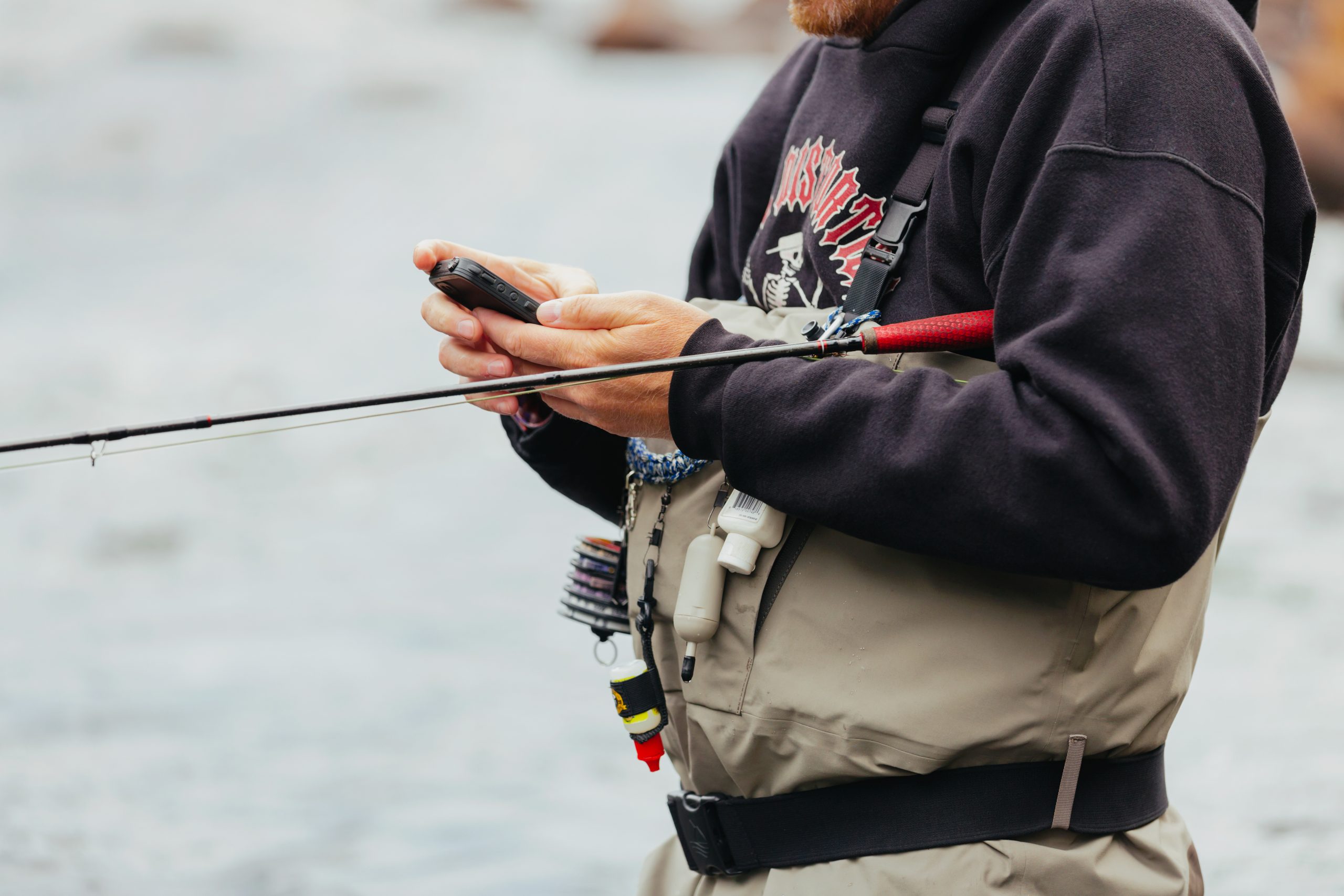 DES POISSONS À PORTÉE DE CLICS