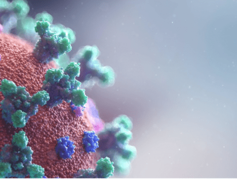 TROUVER UN MÉDICAMENT PAR HASARD