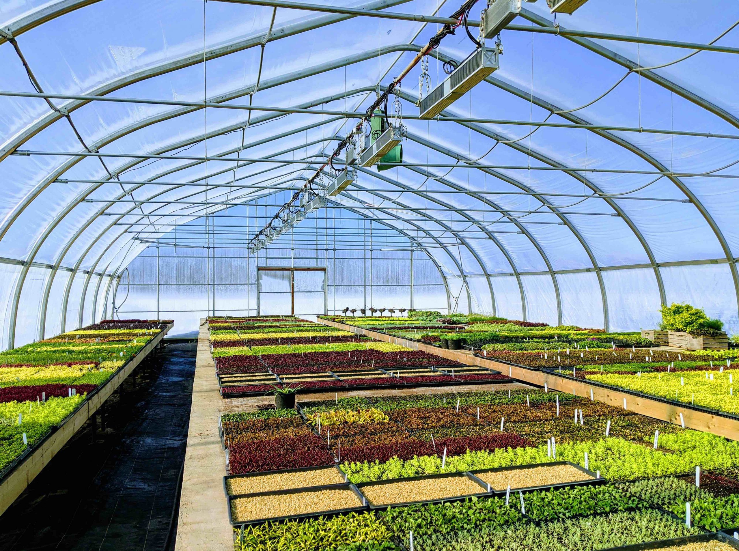 DU SOLEIL EN TUBES GRÂCE À L&rsquo;IA