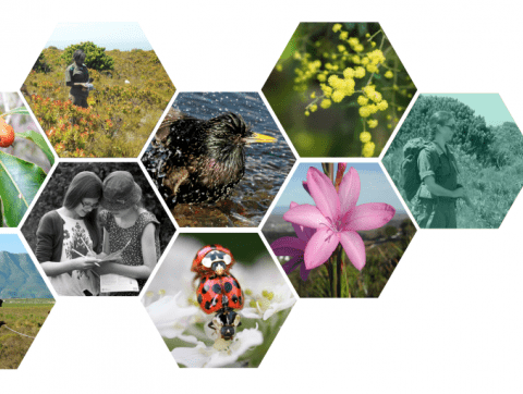 L&rsquo;IA POUR PROTÉGER LA BIODIVERSITÉ