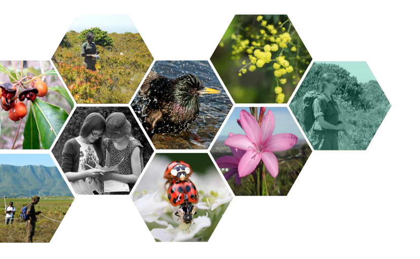 L&rsquo;IA POUR PROTÉGER LA BIODIVERSITÉ