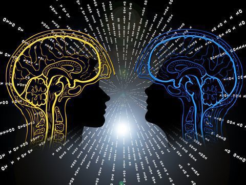 Perceiv AI, la start-up qui veut accélérer les essais cliniques