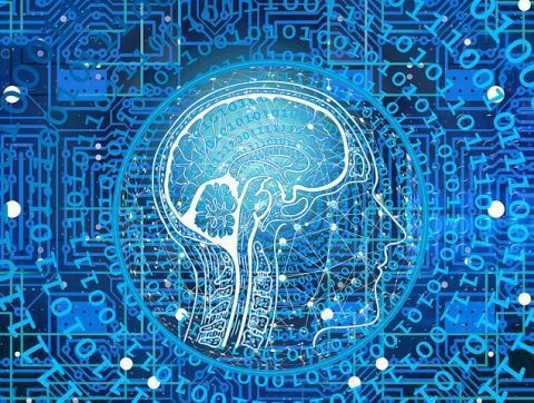 Le CDRIN recrute deux experts en intelligence numérique