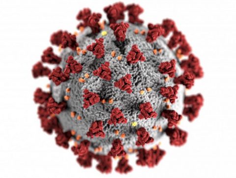 L&rsquo;ingénierie de données au temps de la Covid-19