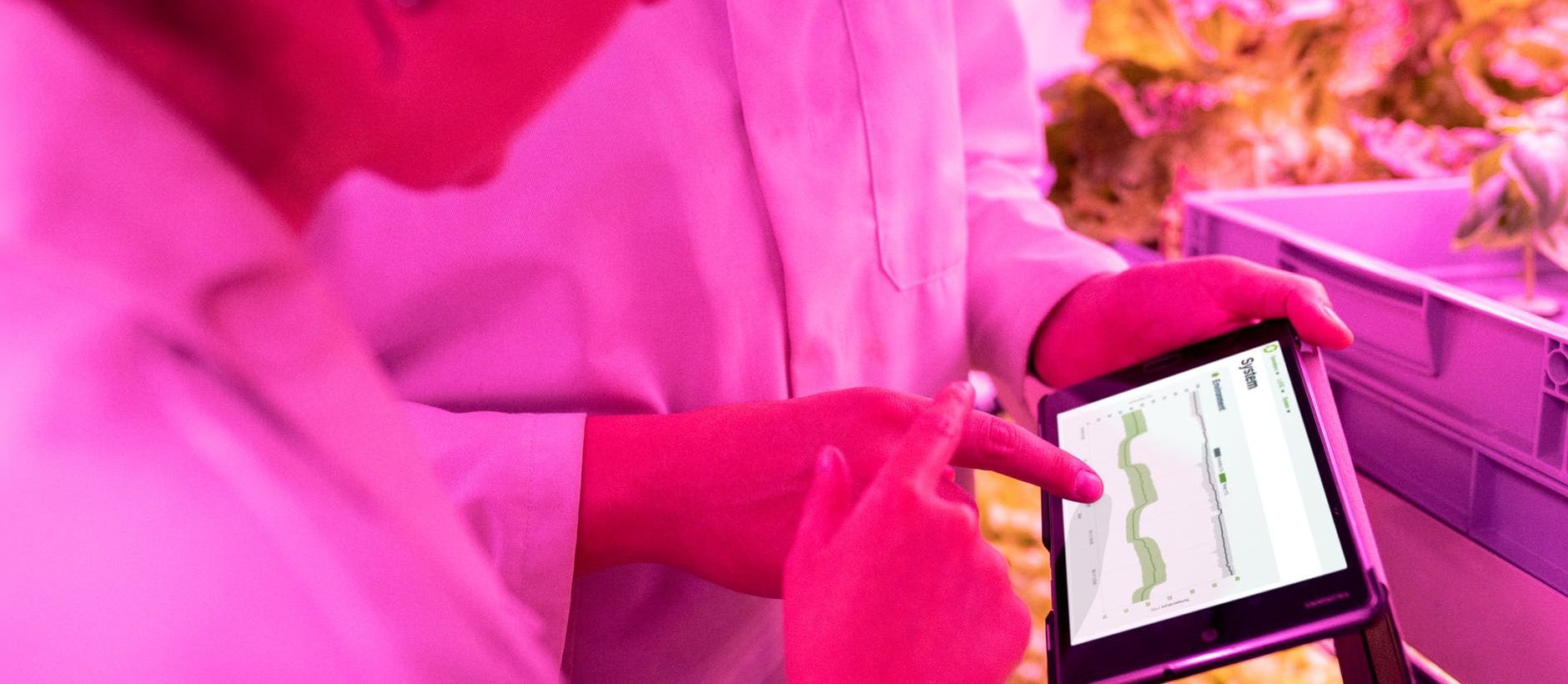 L&rsquo;omniprésence de l&rsquo;IA dans l&rsquo;agroalimentaire