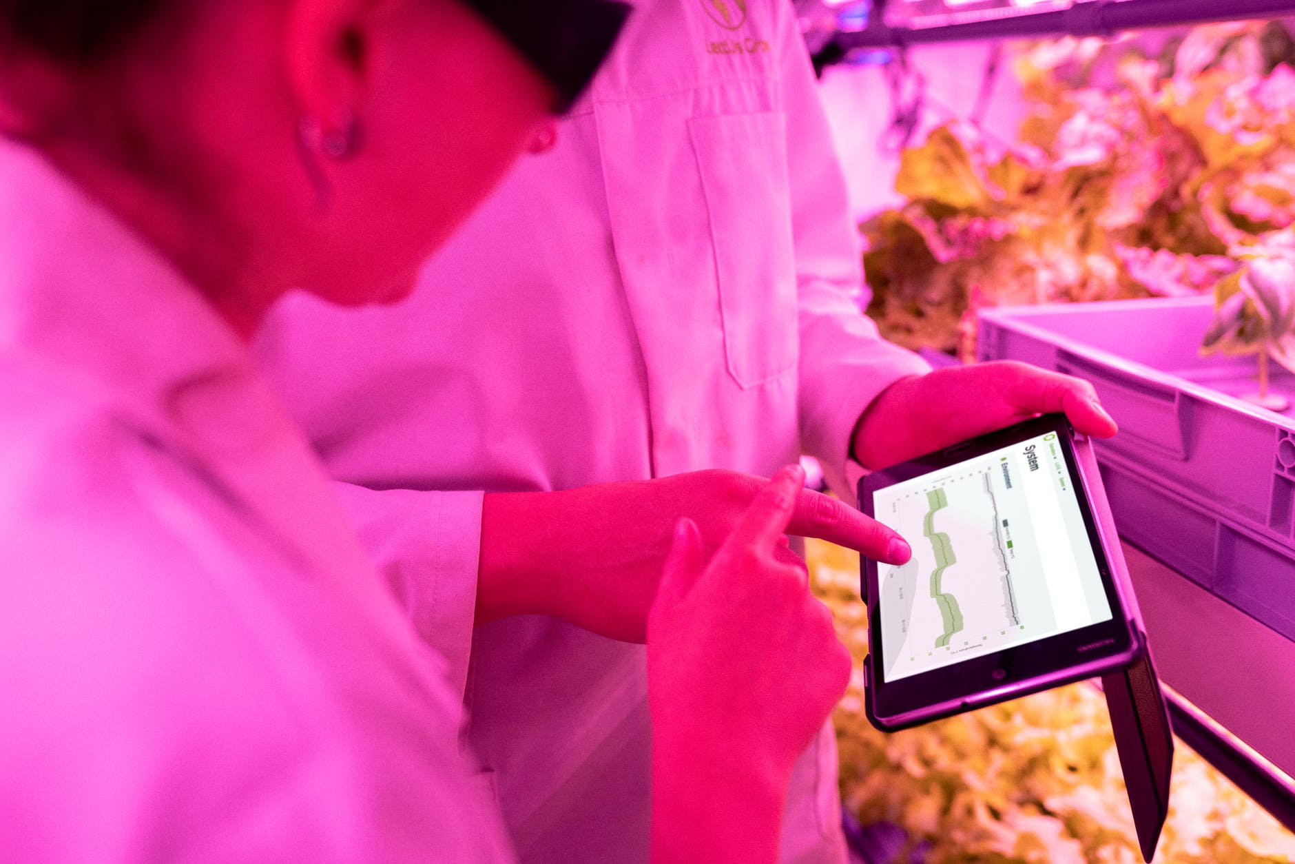 L&rsquo;omniprésence de l&rsquo;IA dans l&rsquo;agroalimentaire