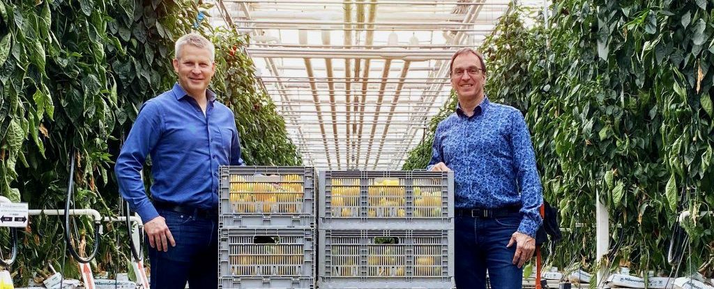 Une solution d&rsquo;éclairage intelligent pour la production en serre