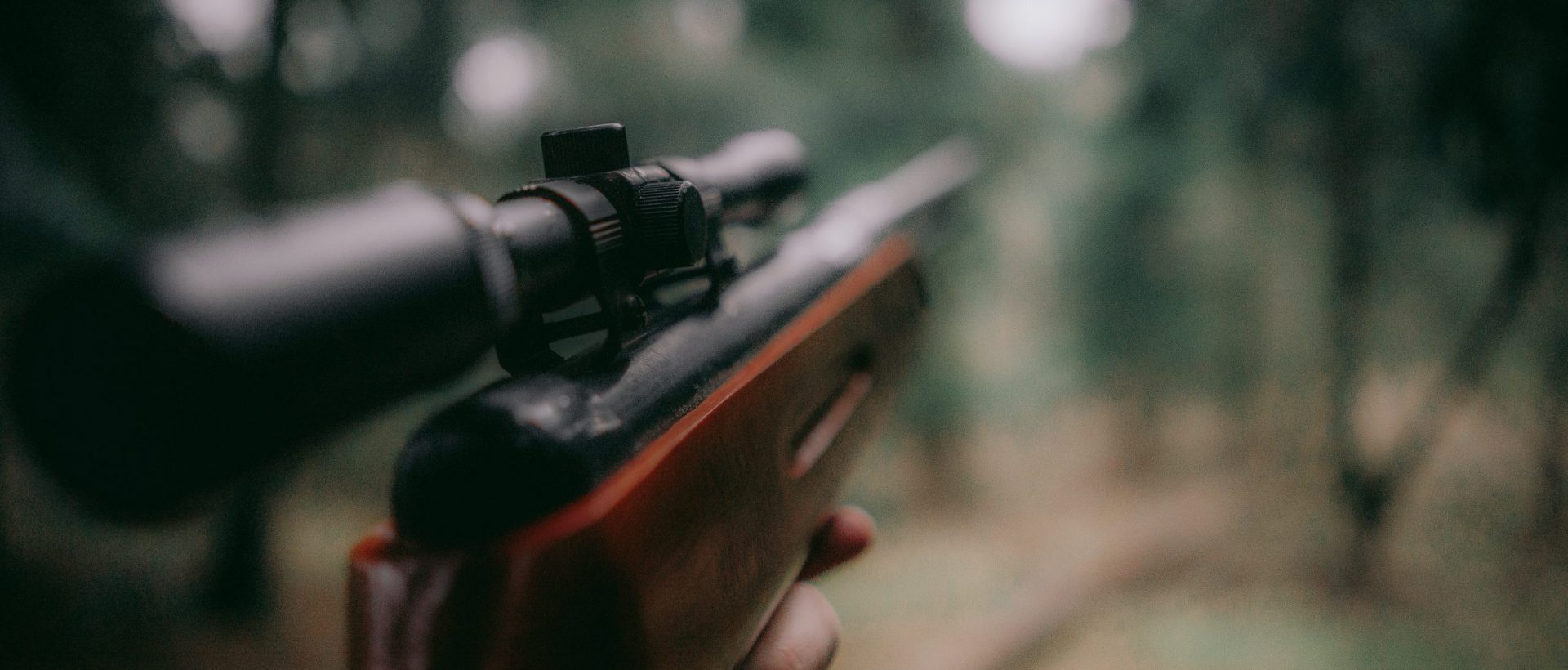 Une solution d&rsquo;IA pour déceler le bruit d&rsquo;un coup de fusil