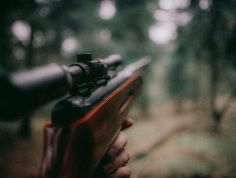 Une solution d&rsquo;IA pour déceler le bruit d&rsquo;un coup de fusil