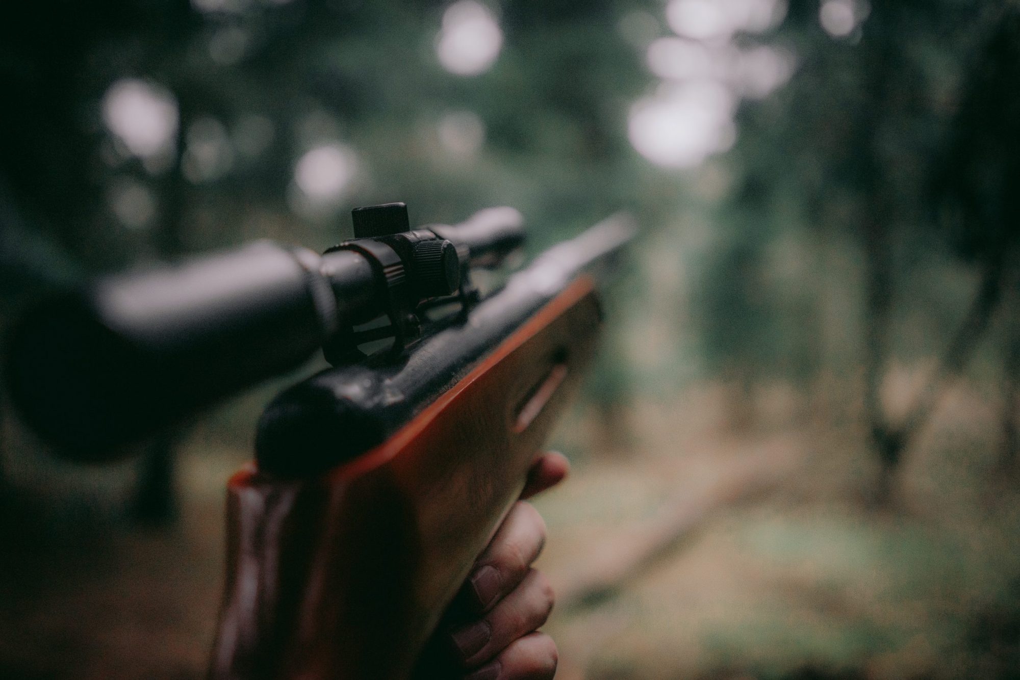 Une solution d&rsquo;IA pour déceler le bruit d&rsquo;un coup de fusil