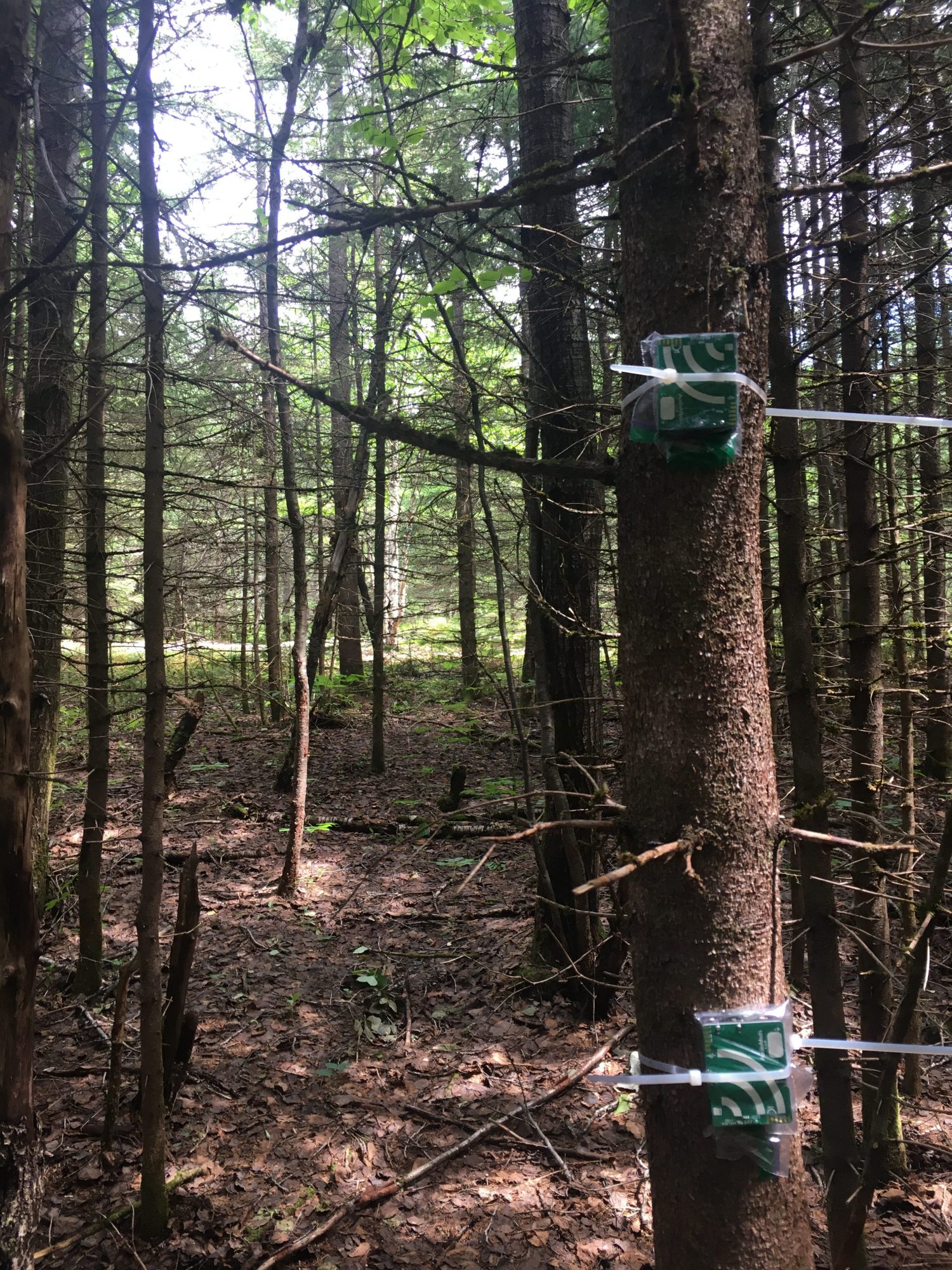 La SEPAQ veut optimiser ses données pour améliorer la protection de la faune et de la flore