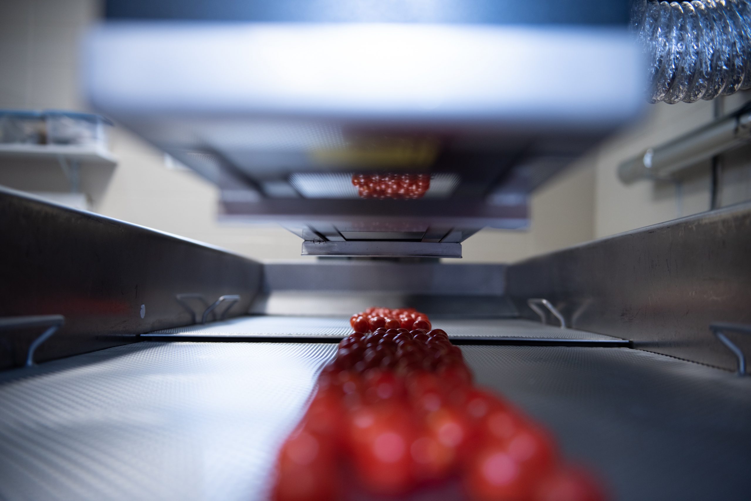 Plus de saveurs dans nos assiettes grâce à l’IA ?