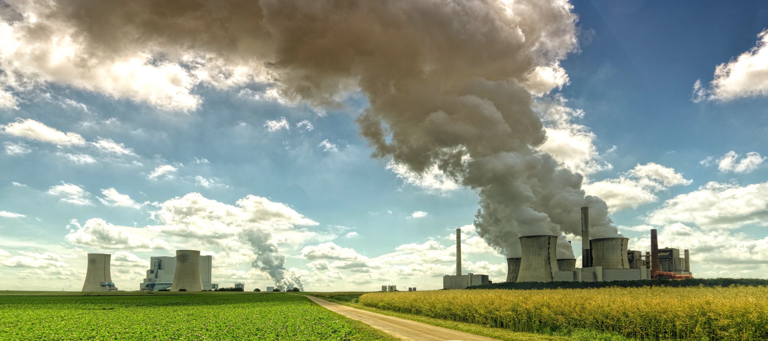 [J&rsquo;ai testé pour vous] L&rsquo;IA contre la crise climatique