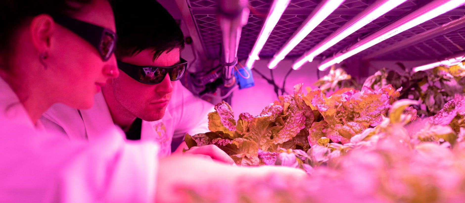 L&rsquo;industrie des bioprocédés se prépare à la révolution IA