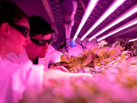 L&rsquo;industrie des bioprocédés se prépare à la révolution IA