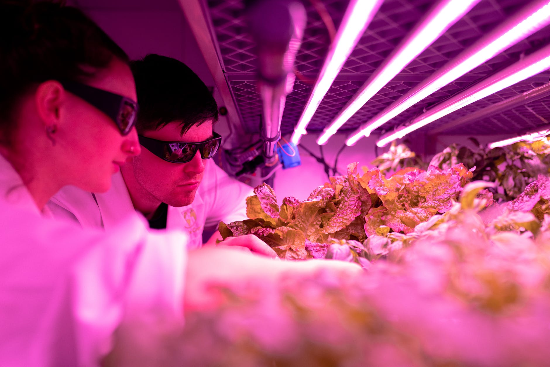 L&rsquo;industrie des bioprocédés se prépare à la révolution IA