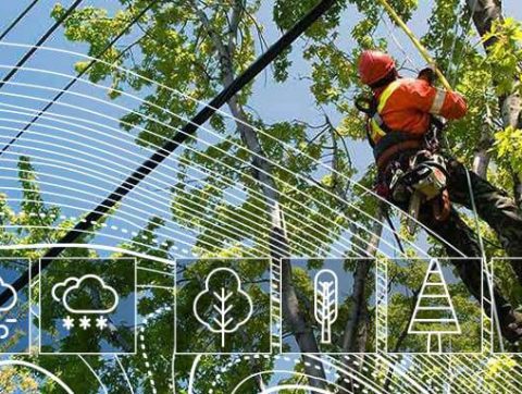 Hydro-Québec propulsé par l&rsquo;IA