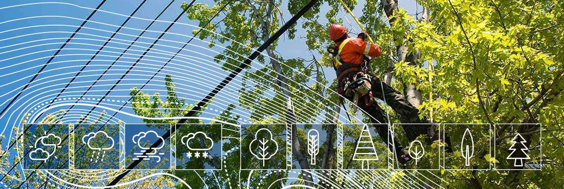 Hydro-Québec propulsé par l&rsquo;IA