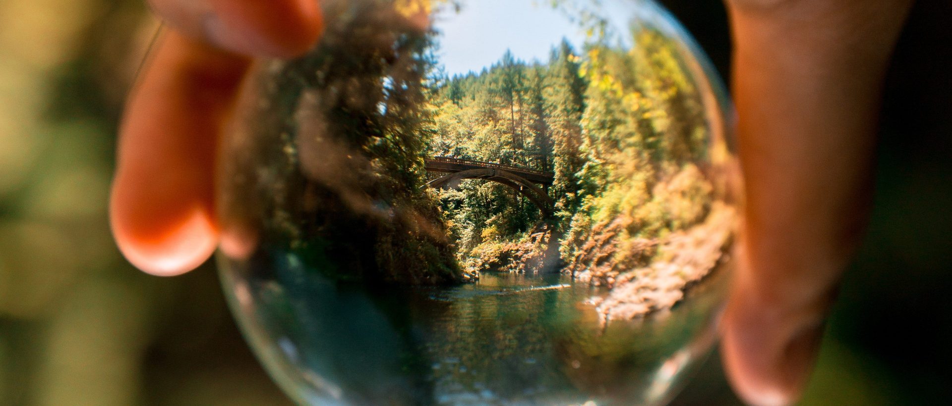 Le développement durable possible grâce aux données environnementales?