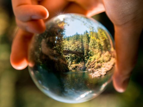 Le développement durable possible grâce aux données environnementales?