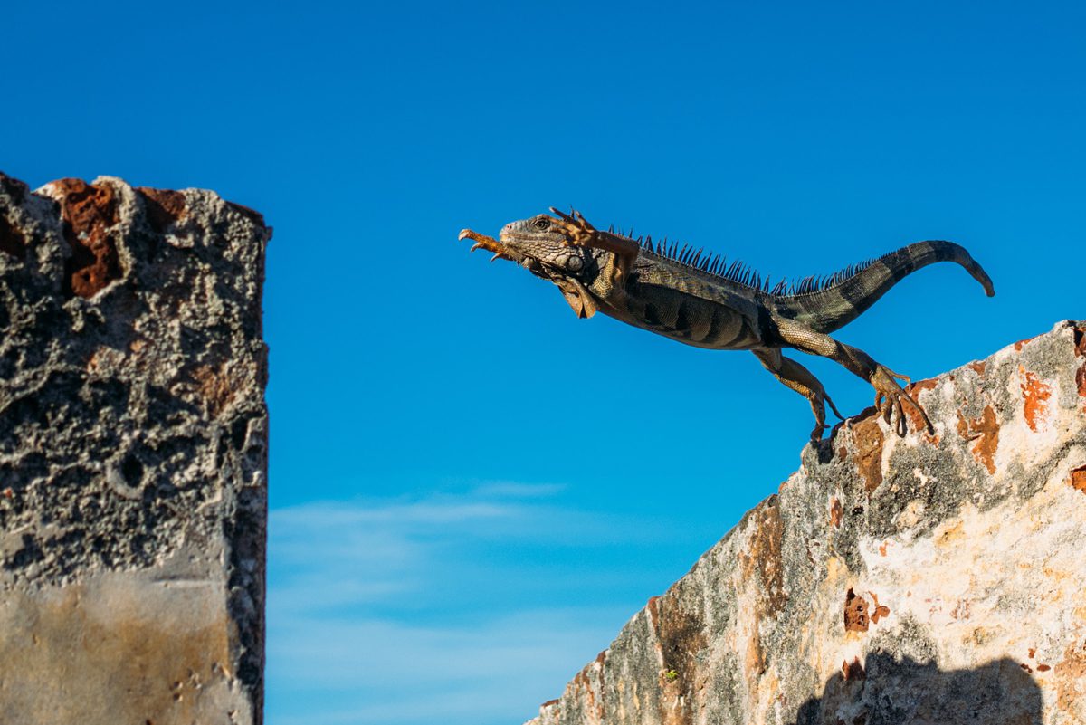 [ANALYSE] La fracture numérique engage-t-elle la loi du plus agile?