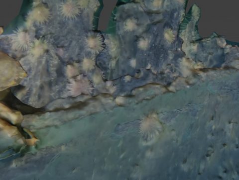 CDRIN : mieux comprendre le fleuve Saint-Laurent via l&rsquo;IA