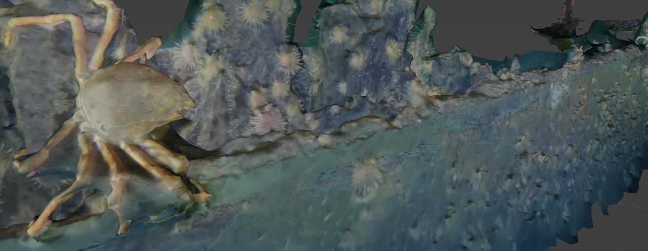 CDRIN : mieux comprendre le fleuve Saint-Laurent via l&rsquo;IA