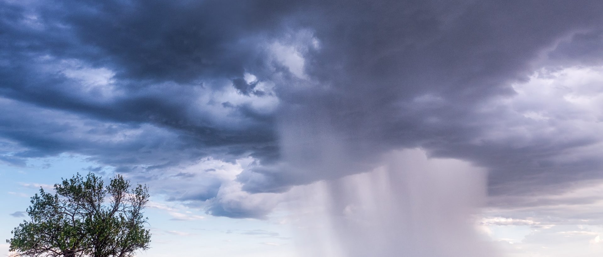 Quand l&rsquo;IA participe à la lutte contre les dérèglements climatiques