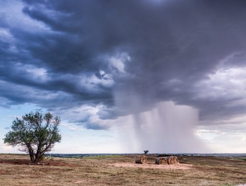 Quand l&rsquo;IA participe à la lutte contre les dérèglements climatiques
