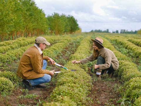 Objectif : créer « La ferme carboneutre »