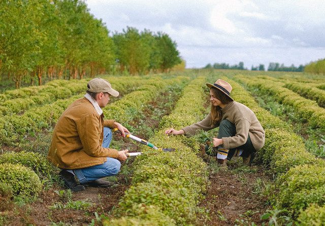 Objectif : créer « La ferme carboneutre »
