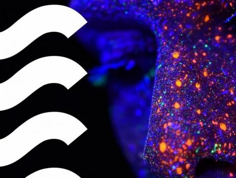 IID : une quarantaine d’entreprises aidées dans leur adoption de l’IA